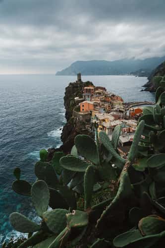 Vernazza Viewpoint