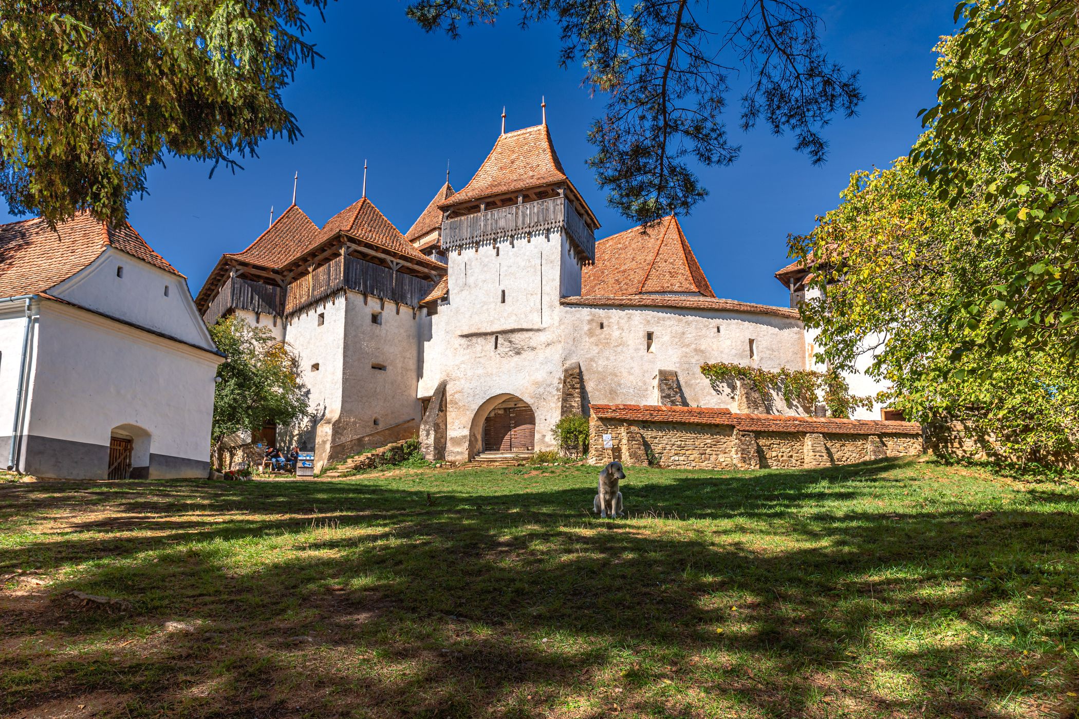 Viscri fortified church, Romania