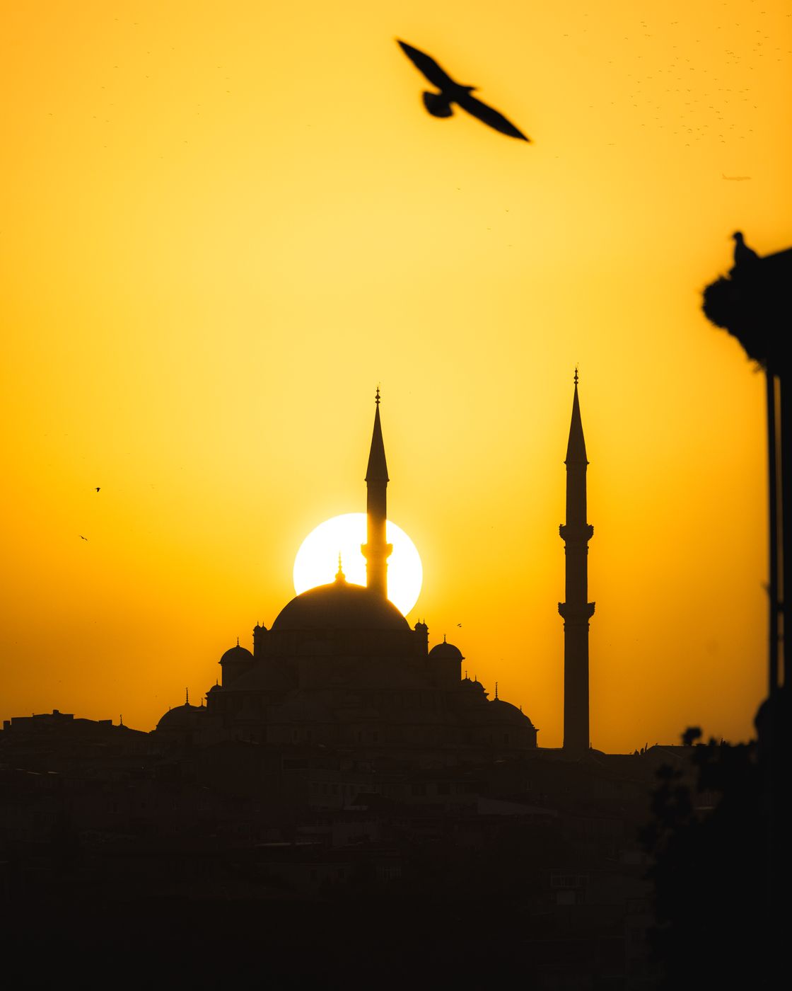 Yavuz Sultan Selim Mosque from Galata Bridge, Istanbul, Turkey (Türkiye)