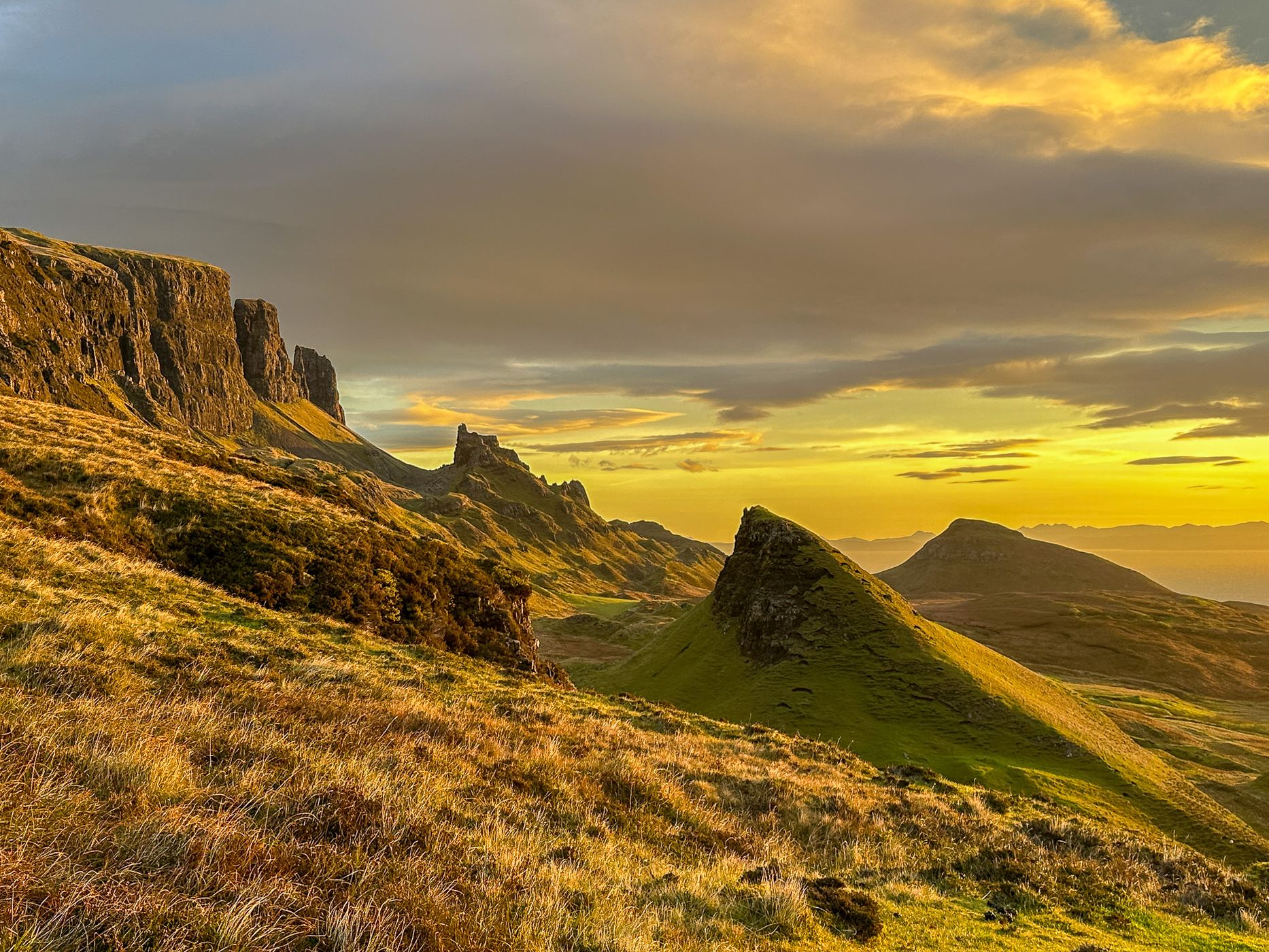 A solitary bush overlooking the Quiraing Road, United Kingdom