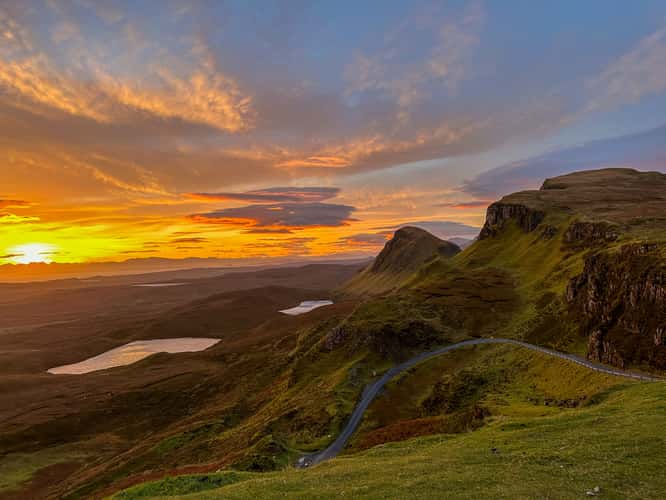 A solitary bush overlooking the Quiraing Road