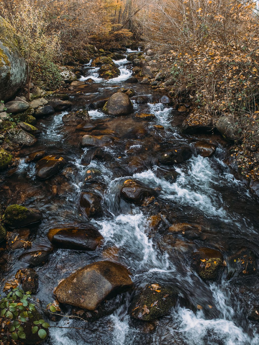 Acher Creek, Germany