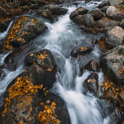 Acher Creek, Germany