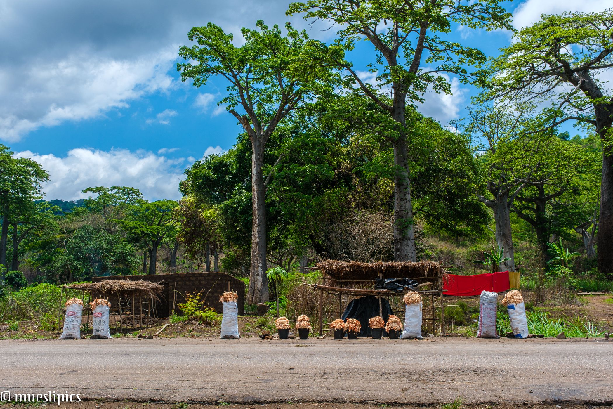 Along the road, Angola