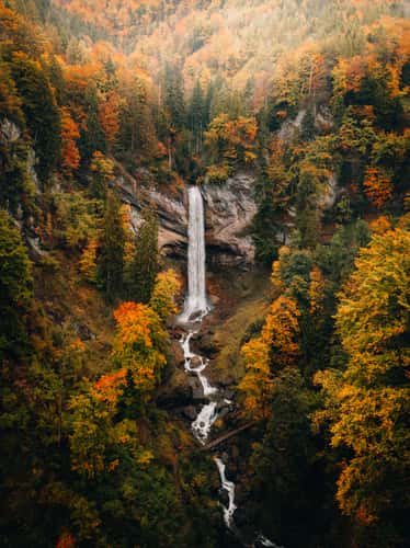 Berschnerfall