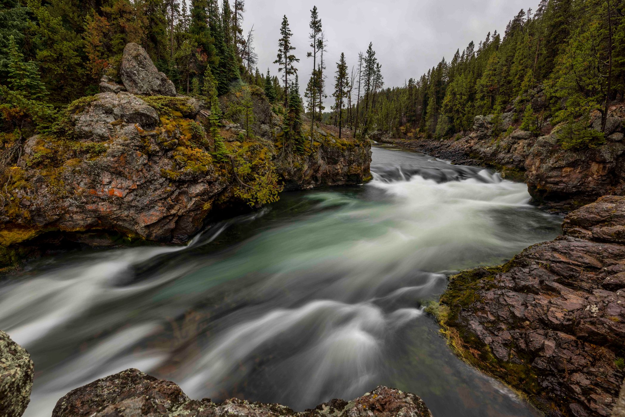 Brink of Lower Falls, Yellowstone National Park, Wyoming, USA