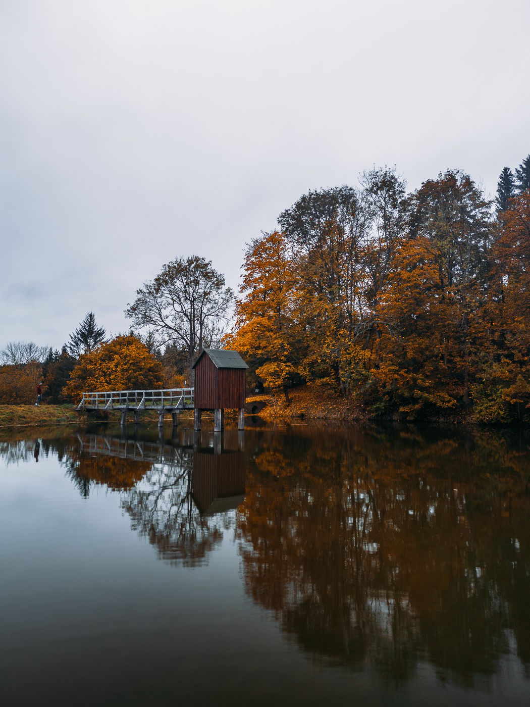 Carler Teich (Drone), Germany