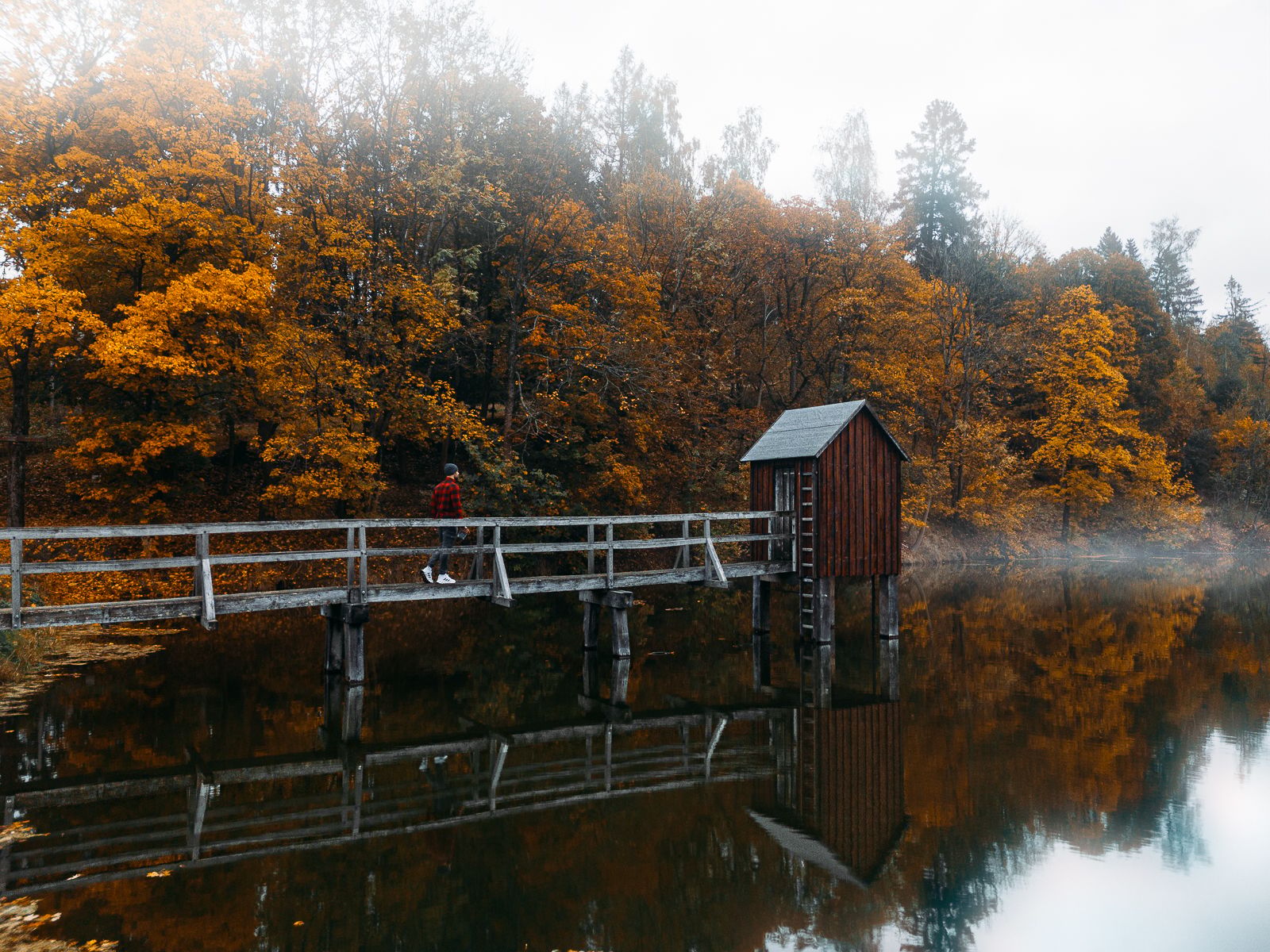 Carler Teich (Drone), Germany