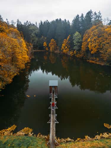Carler Teich (Drone)