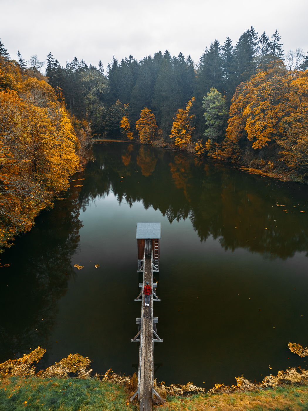 Carler Teich (Drone), Germany