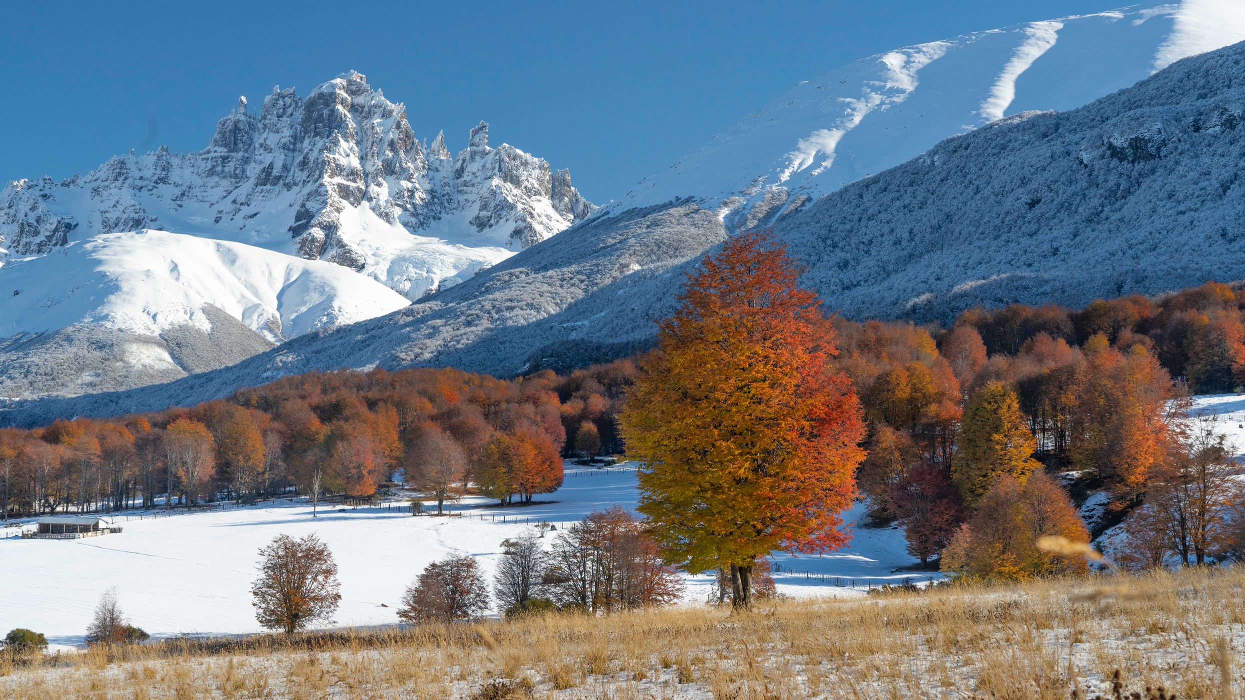 Cerro Castillo, Chile