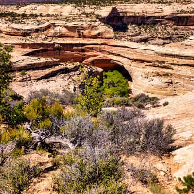 Chachina Bridge, Natural Bridge National Monument, Utah, USA