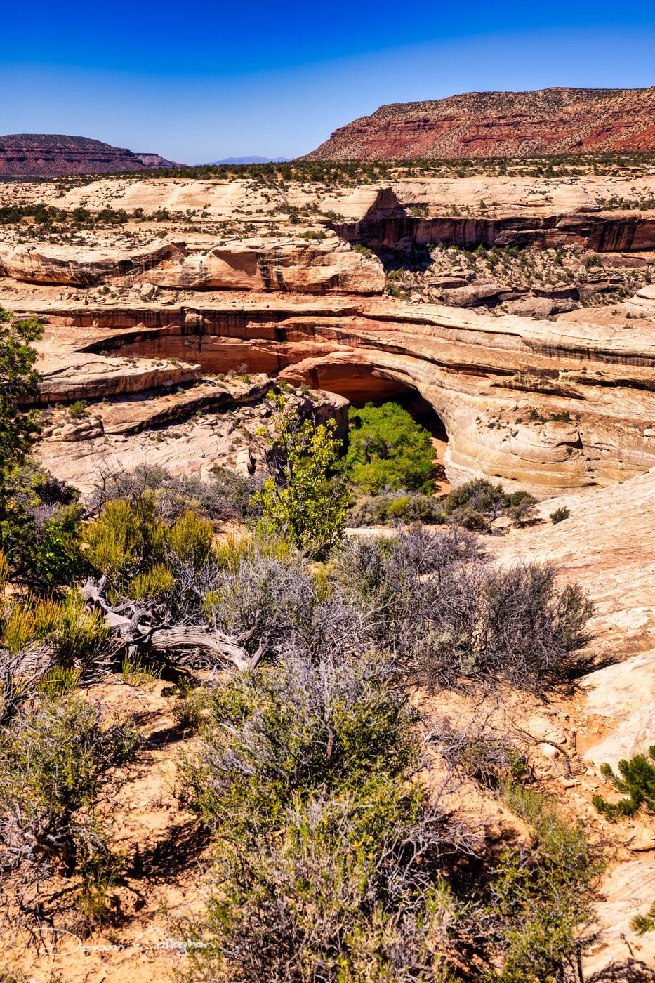 Chachina Bridge, Natural Bridge National Monument, Utah, USA