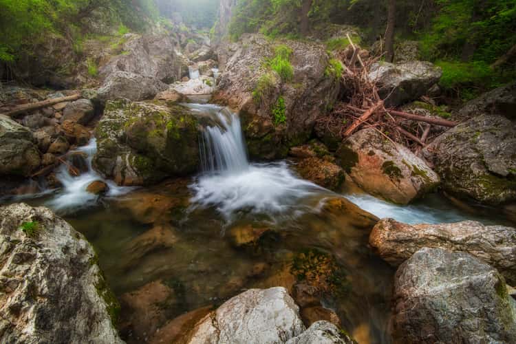 Creek in Malá Fatra NP