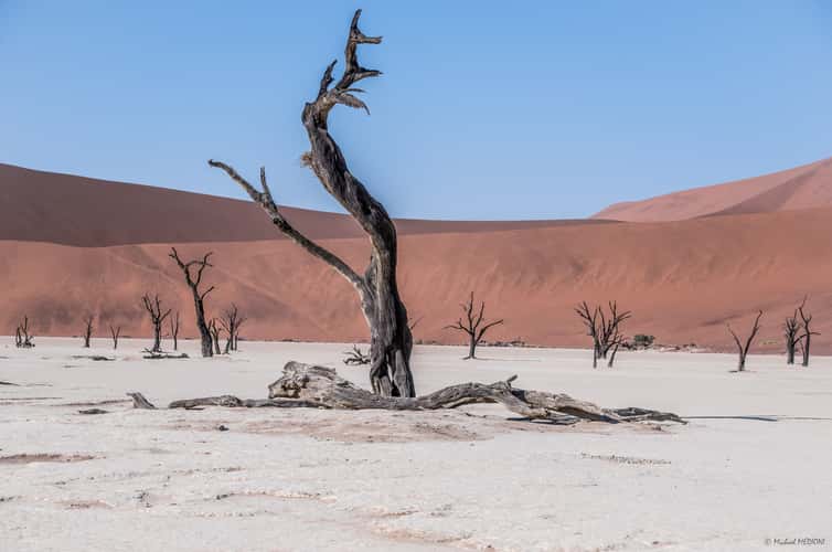 Deadvlei