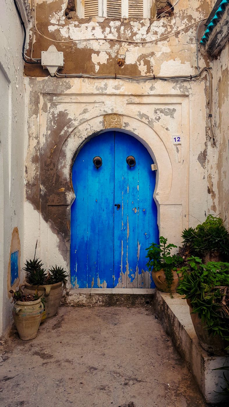 Doors of Sidi Bou Said, Tunisia