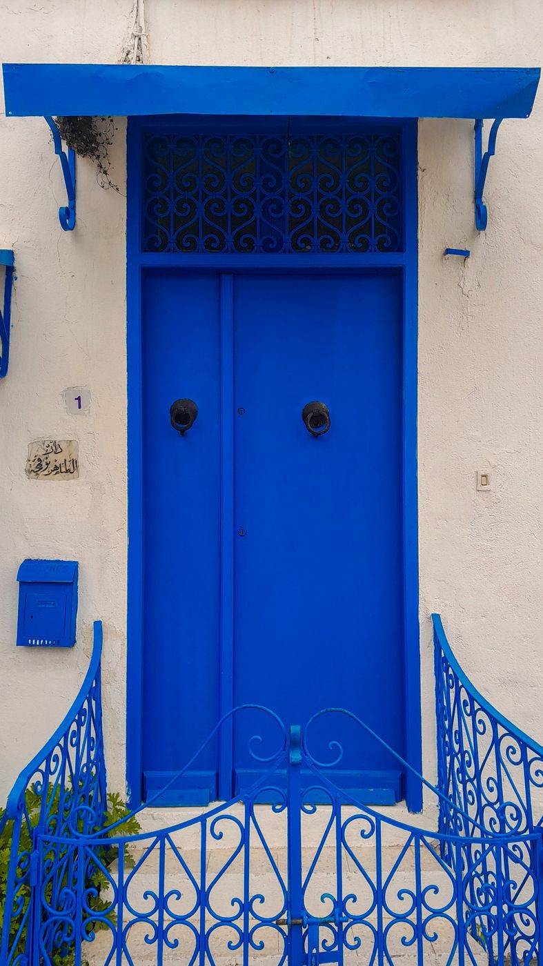 Doors of Sidi Bou Said, Tunisia