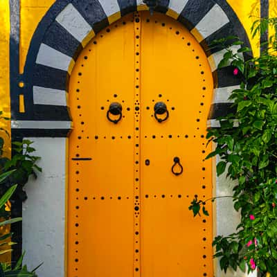 Doors of Sidi Bou Said, Tunisia