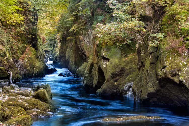 Fairy Glen