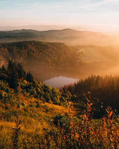 Feldberg, Black Forest