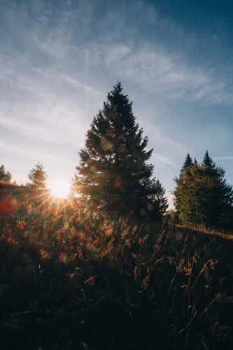 Feldberg, Black Forest