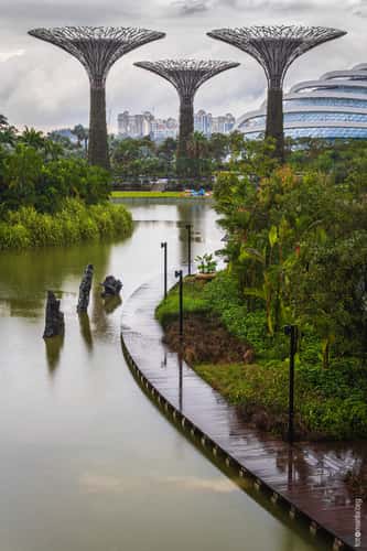 Gardens by the Bay