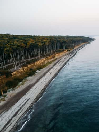 Gespensterwald 'Ghost Forest' (Drone)