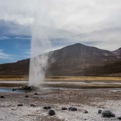 Geyser de Puchuldiza, Chile