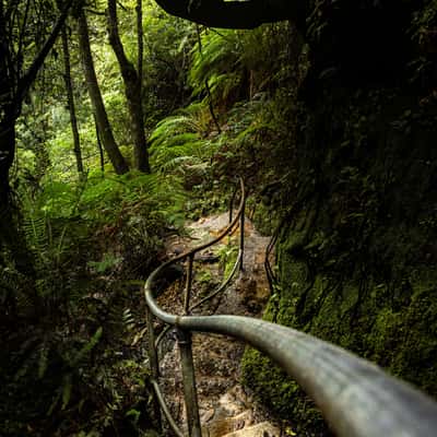 Grand canyon walk Blue Mountains, Australia