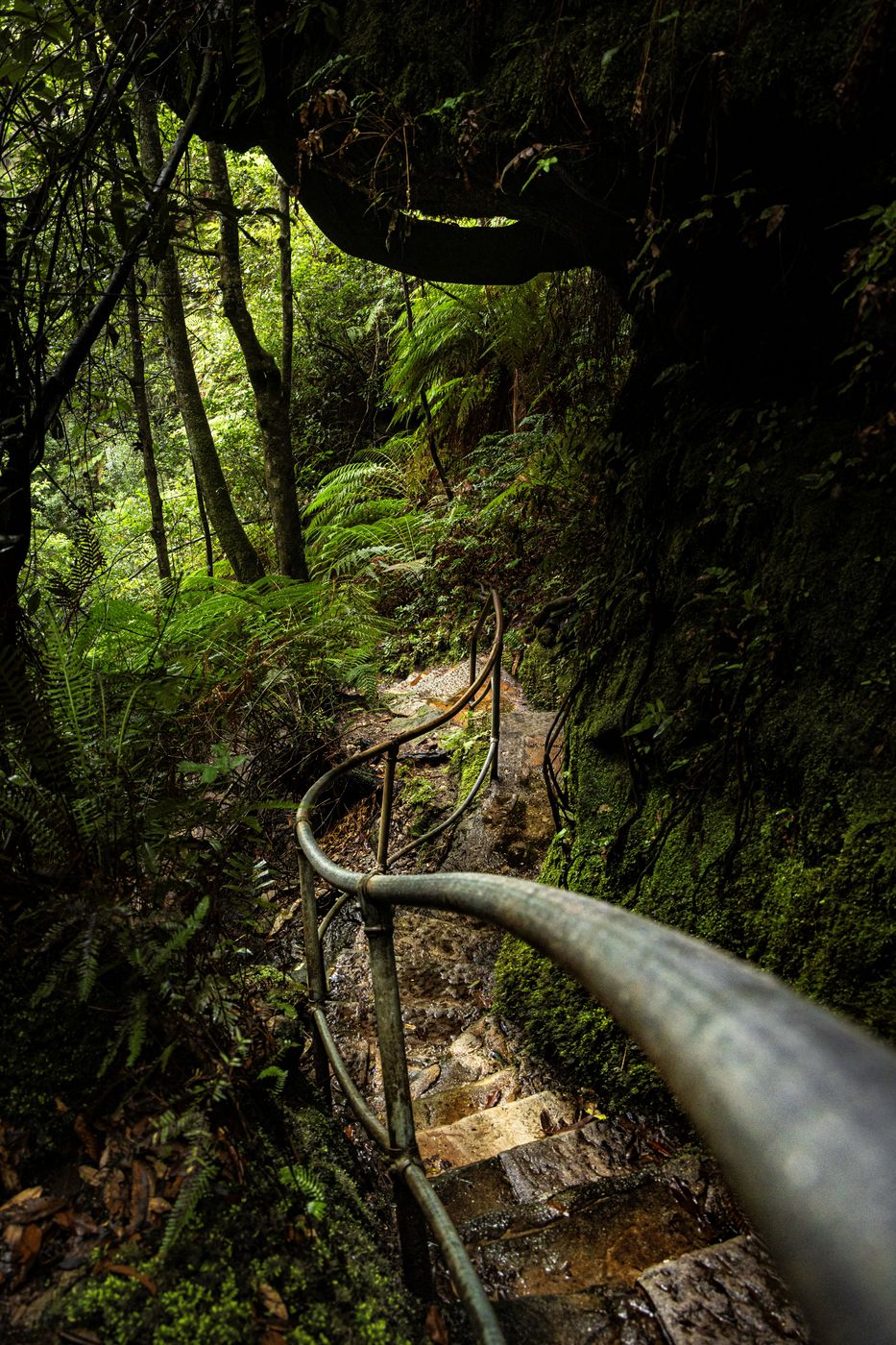 Grand canyon walk Blue Mountains, Australia