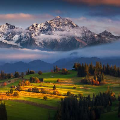 Green meadows with High Tatras view, Poland