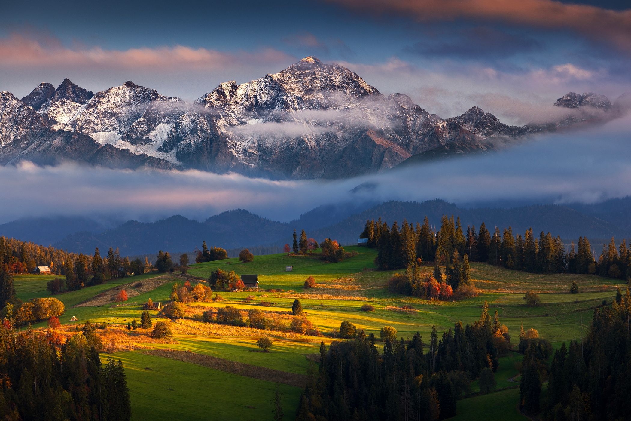 Green meadows with High Tatras view, Poland