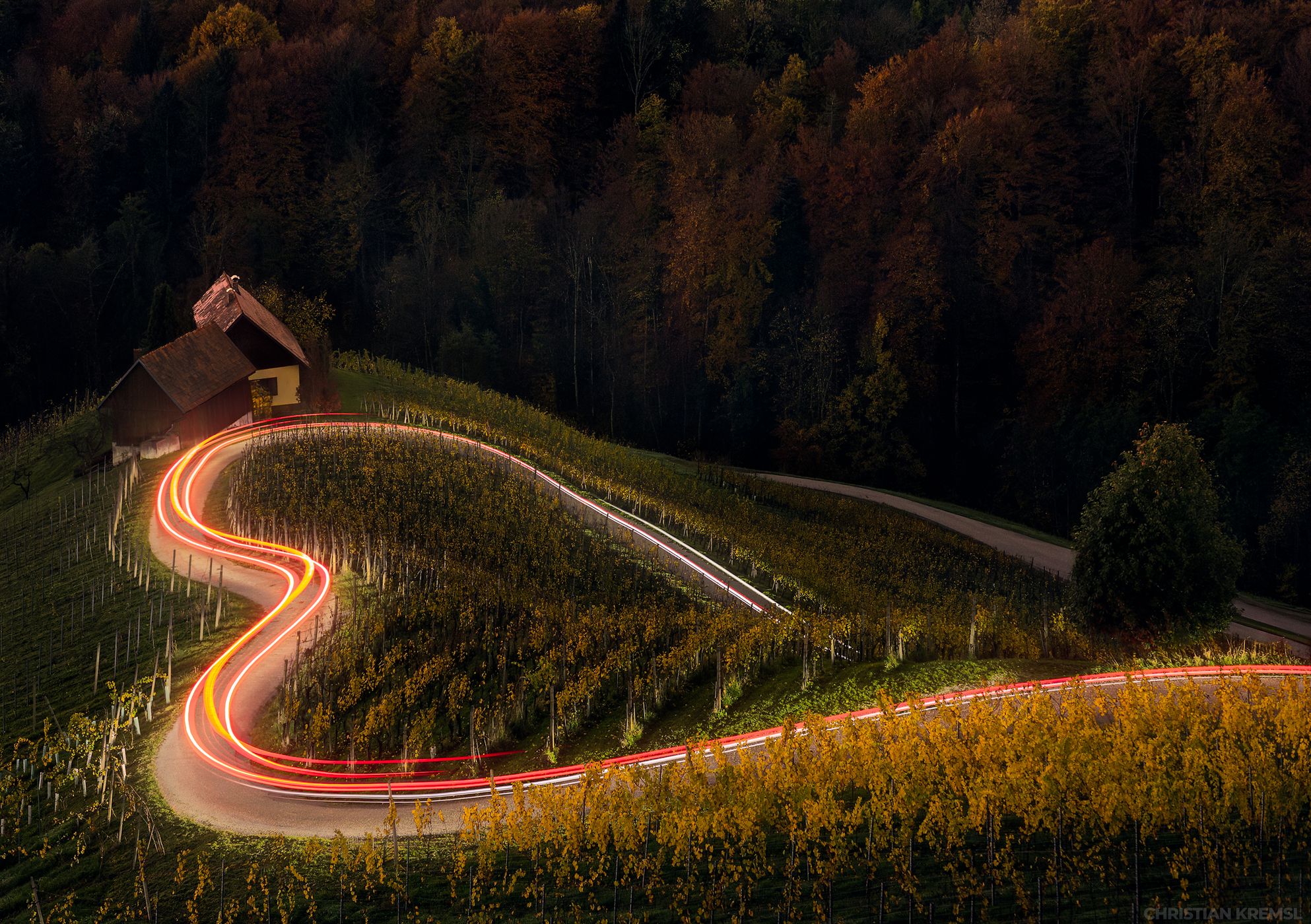 Heart in the vineyards, Slovenia, Slovenia
