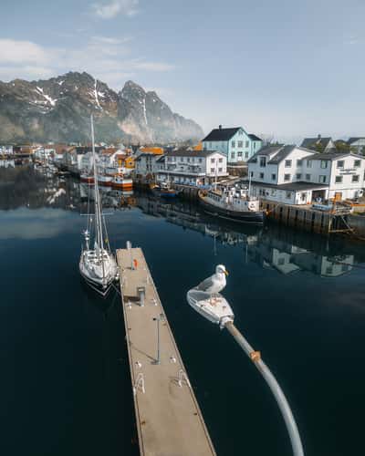 Henningsvær Harbor (Drone)