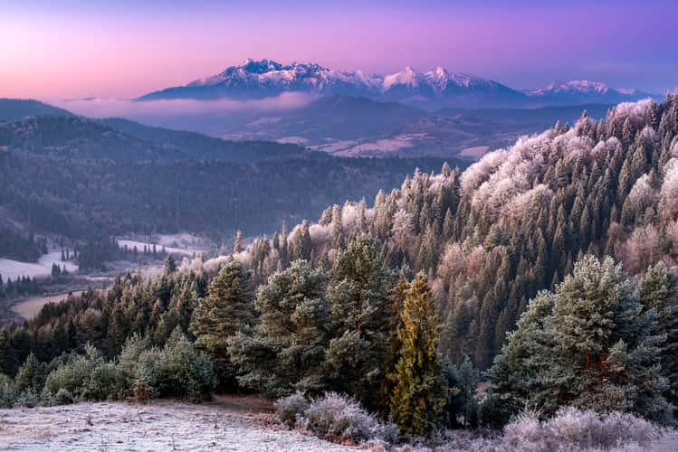 High Tatras view