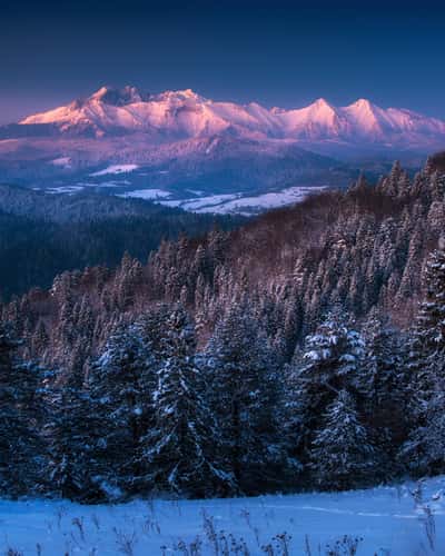 High Tatras view