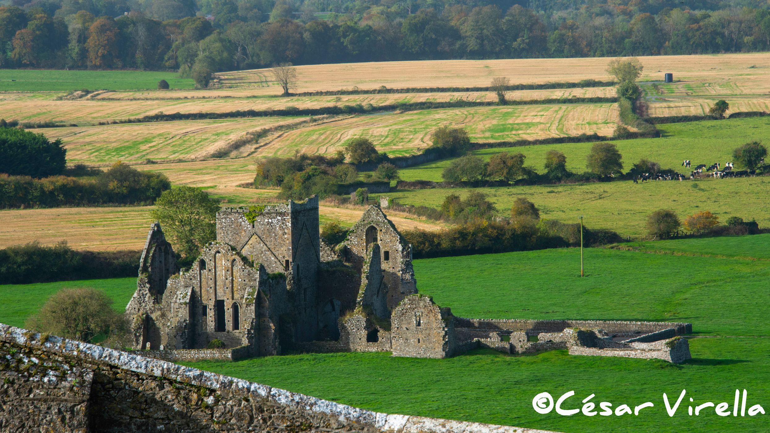 Hore Abbey, Ireland