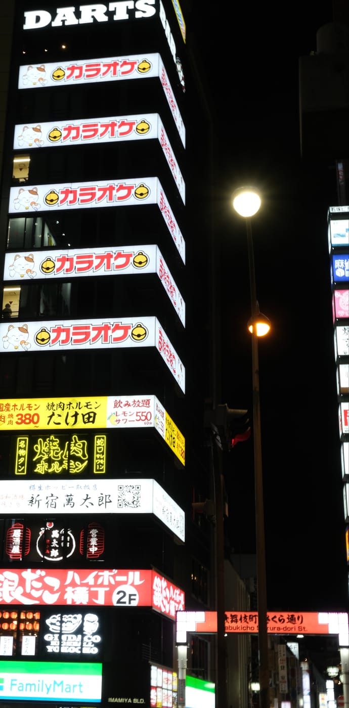 Kabukicho Sakura-dori St., Japan