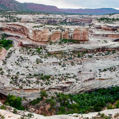 Kachina Bridge & Armstrong Canyon, Natural Bridges N.M., USA