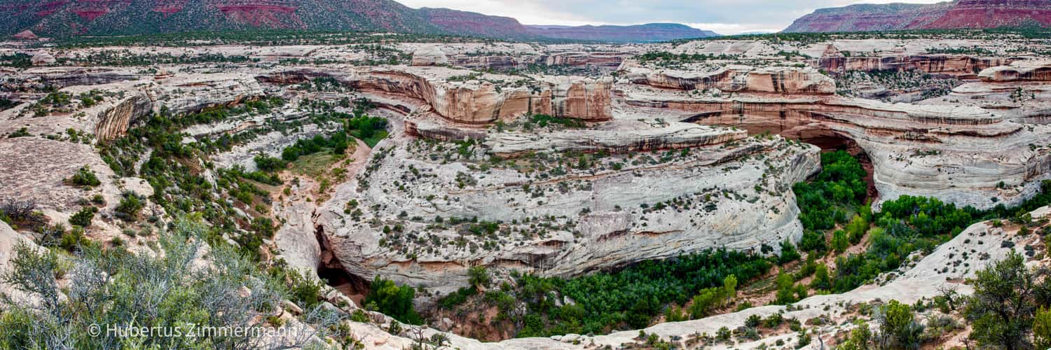 Kachina Bridge & Armstrong Canyon, Natural Bridges N.M.