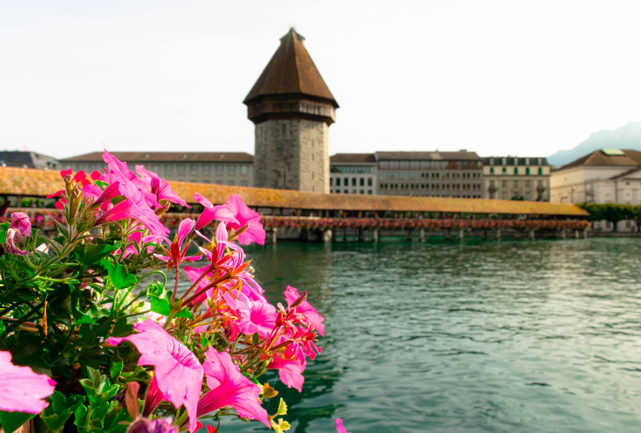 (Kapellbrücke) Chapel Bridge in Lucerne, Switzerland