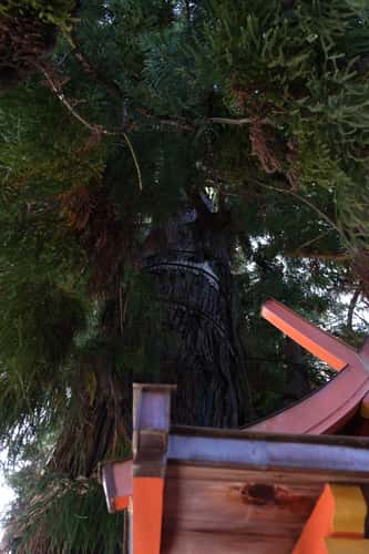 Kasuga-Taisha Shinto-Shrine