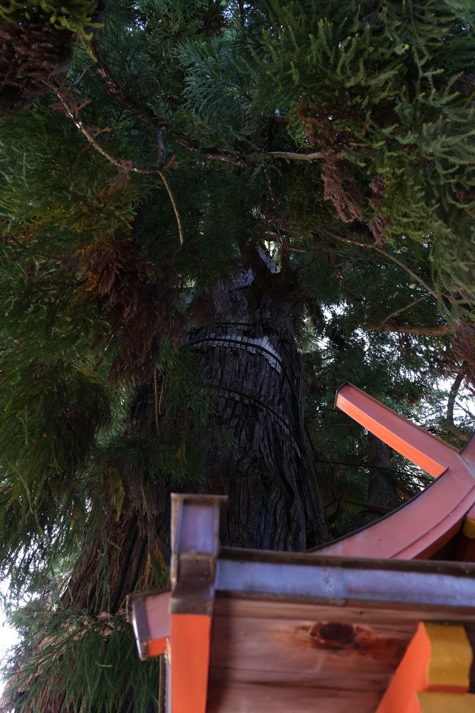 Kasuga-Taisha Shinto-Shrine, Japan