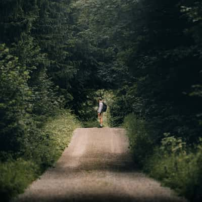 Kemptner Wald, Germany