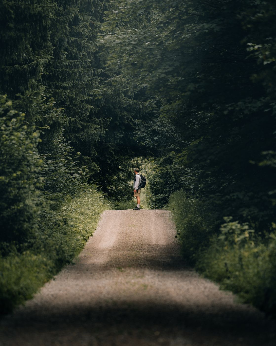 Kempten Forest, Germany
