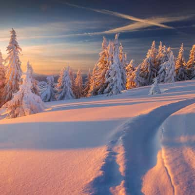 Kubínska hoľa - top, Slovakia (Slovak Republic)