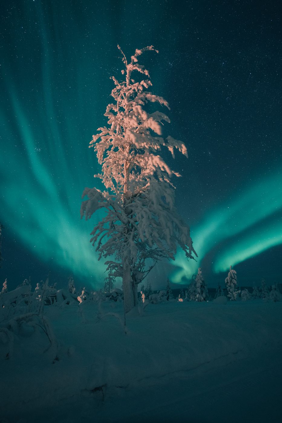 Levi, Finland
