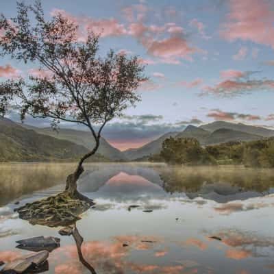 Llyn Pardarn, United Kingdom