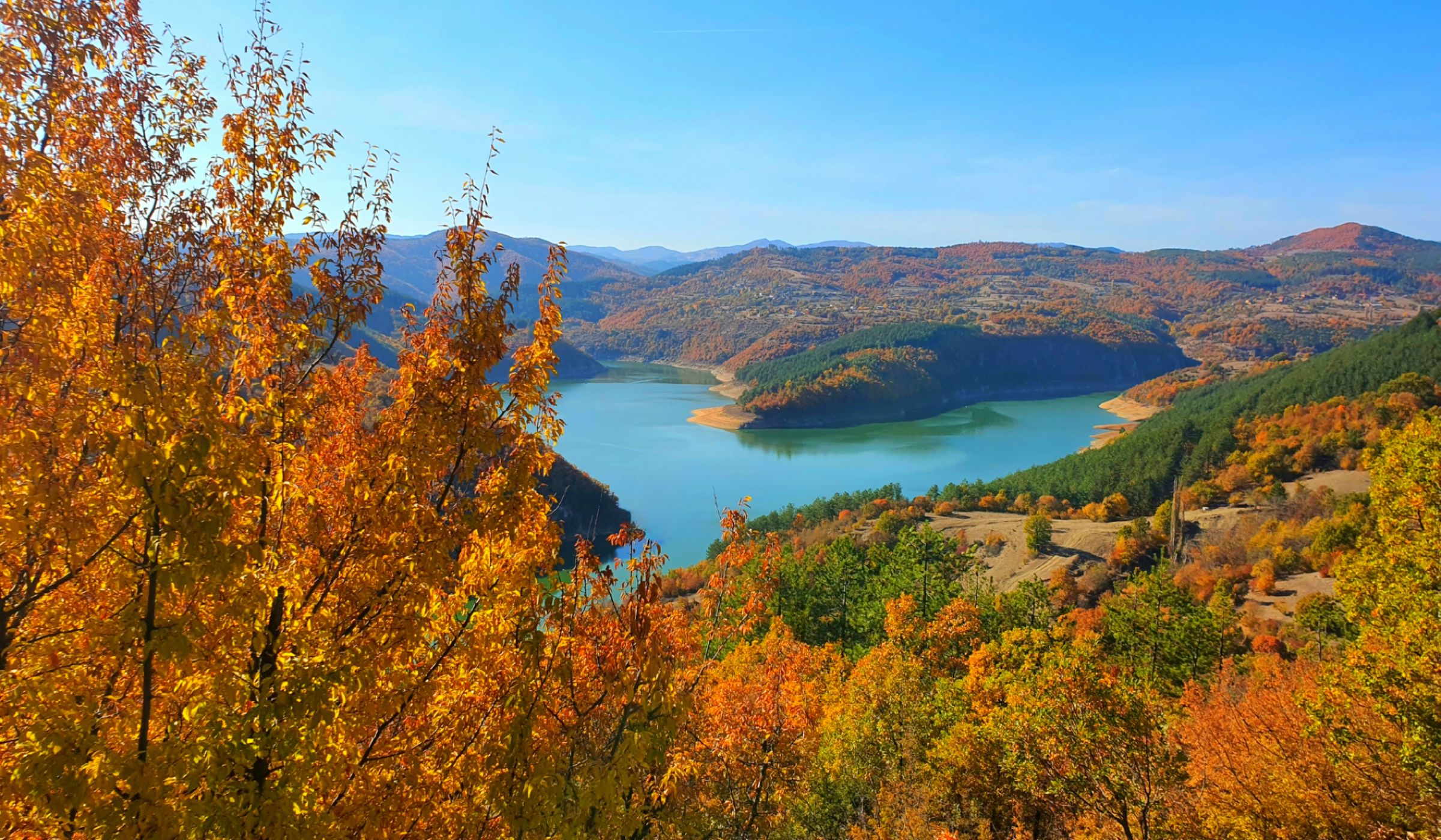 Love is all around us, Bulgaria