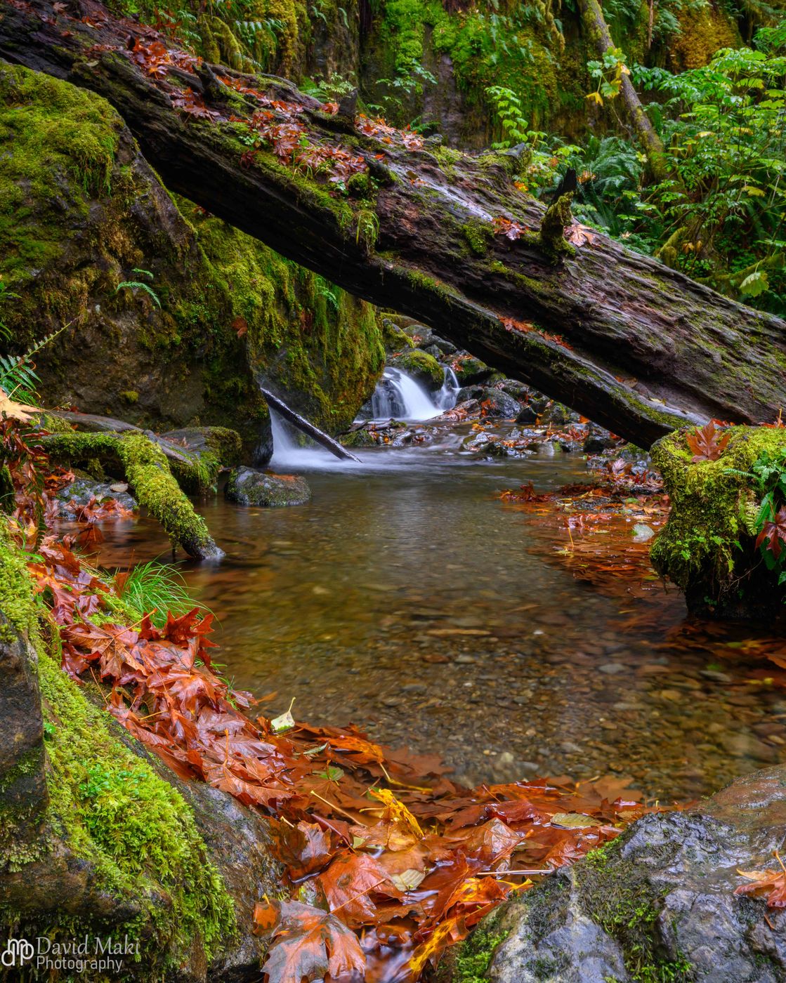 Merriman Falls, USA